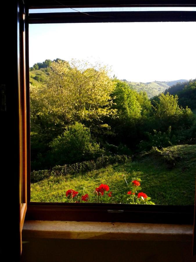 Agriturismo Il Casale Pica Posta Екстериор снимка