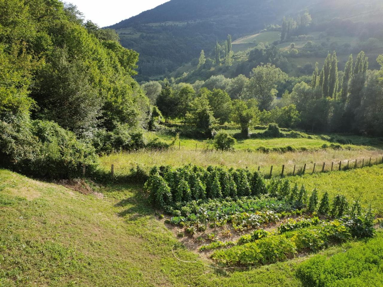 Agriturismo Il Casale Pica Posta Екстериор снимка